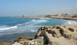 Climate change is driving mollusks extinct in the eastern Mediterranean