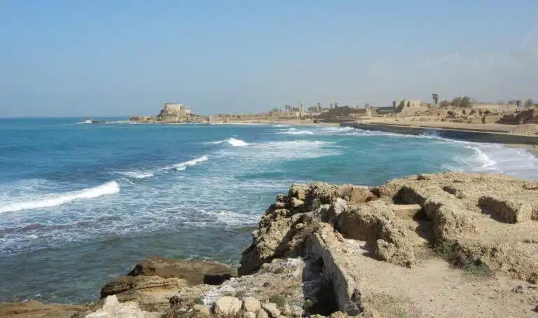 Climate change is driving mollusks extinct in the eastern Mediterranean
