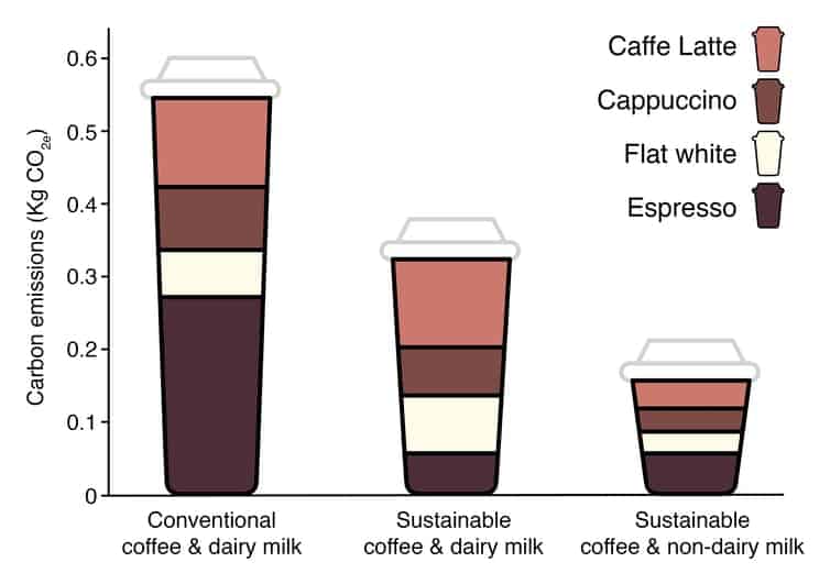 The daily grind how to cut carbon emissions from coffee