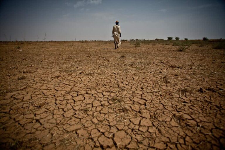 We must ‘mend our ways drastically’ to save the planet