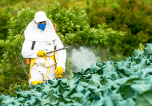 Two-thirds of agricultural land globally are at risk of pesticide pollution