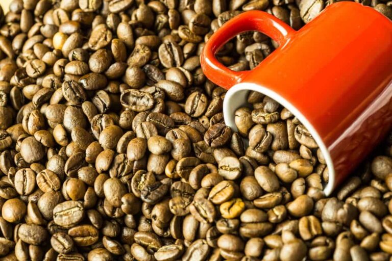 A newly rediscovered coffee plant could save our favorite cuppas from climate change