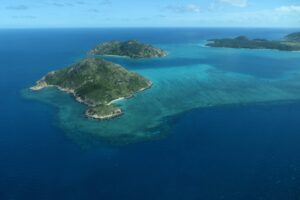 Almost 60 coral species at Australia’s Lizard Island are ‘missing’