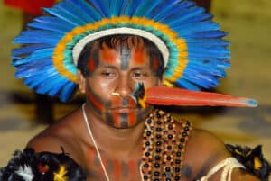 Indigenous people can lead the way in saving the Amazon’s rainforests