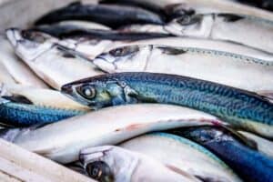 Sustainably produced ‘blue food’ could feed billions of people