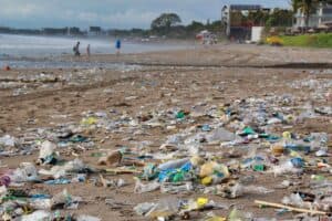 Litter hotspots around the world follow distinct patterns