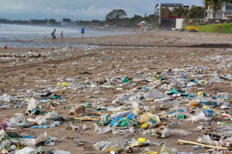 Litter hotspots around the world follow distinct patterns
