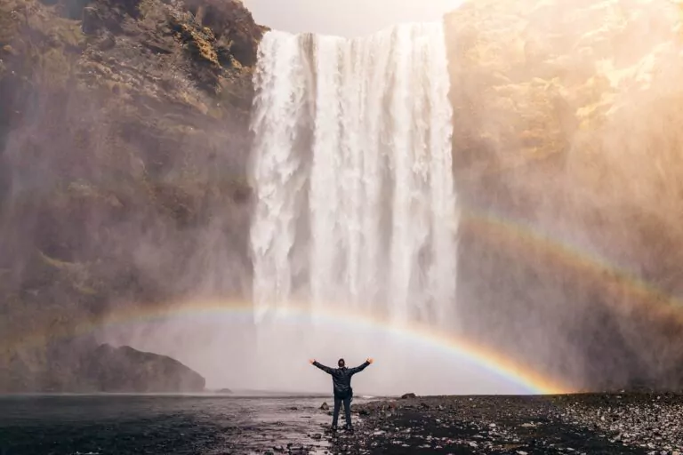 Living in a clean and healthy environment is a ‘human right’