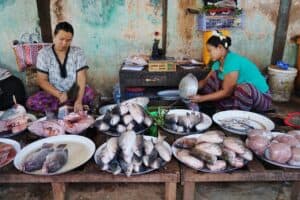 Even bleached coral reefs can provide millions with nutritious seafood