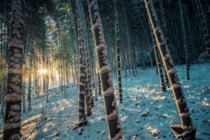 Warming in the Arctic can wreak climate havoc in East Asia