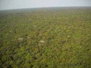 The great Amazon land grab: Brazil’s government is turning public land private, driving deforestation