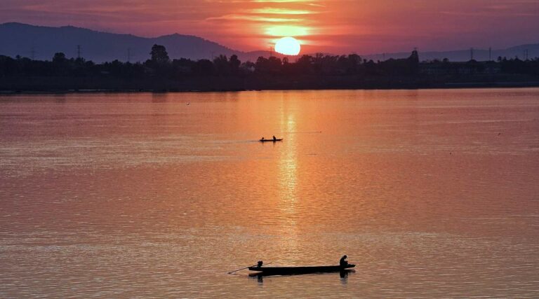 The last river dolphin’s death in Laos highights concerns about the Mekong