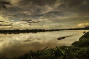The Mekong keeps on yielding species new to science