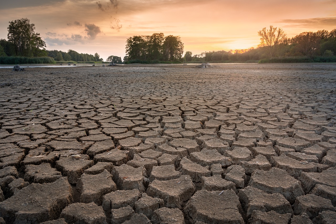 We should ‘get better prepared’ for flash droughts globally