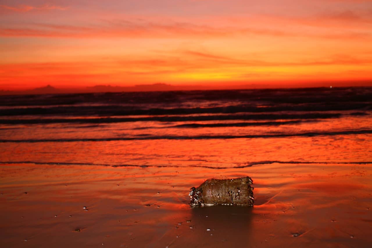 Plastic waste in the oceans could yield new antibiotics one day