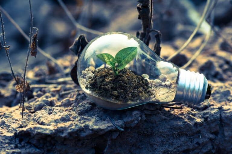 Tech innovations can help businesses become greener
