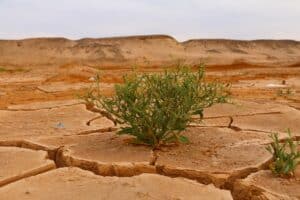 The planet is at risk of numerous climate tipping points