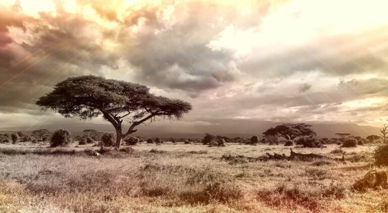 Scientists gain a better understanding of how ecosystems become unstable