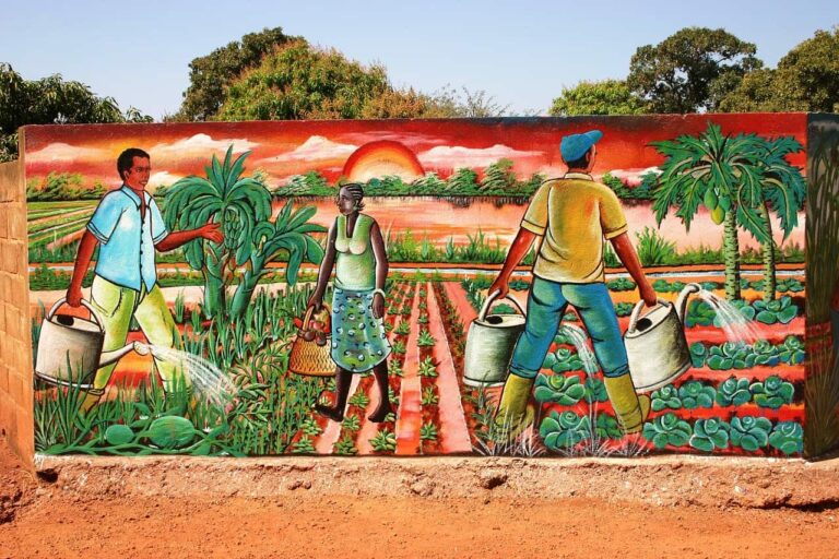 Towards zero hunger in Africa: 5 steps to achieve food security