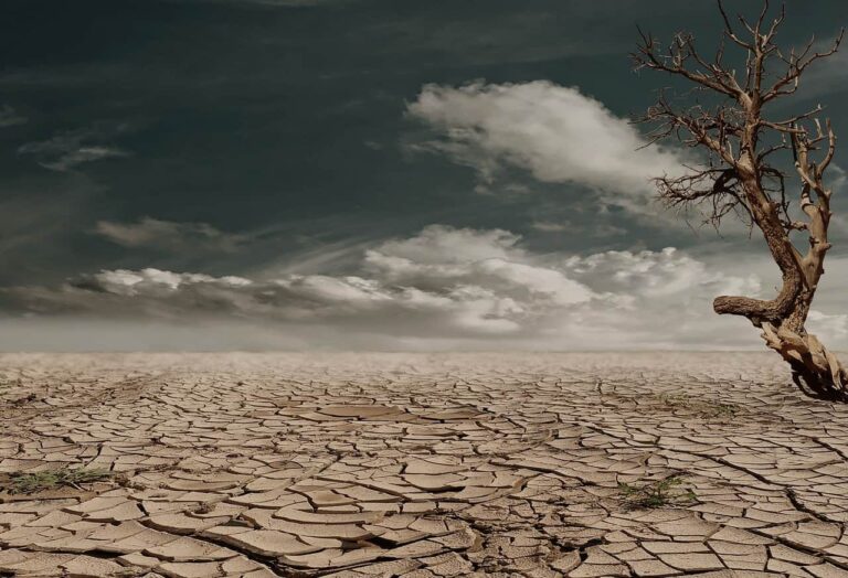 Deforestation and droughts tend to worsen one another