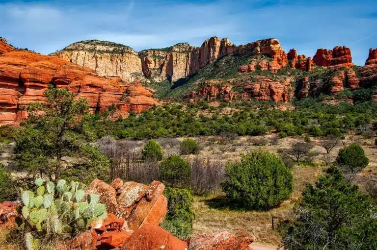 Nature documentaries can boost plant conservation