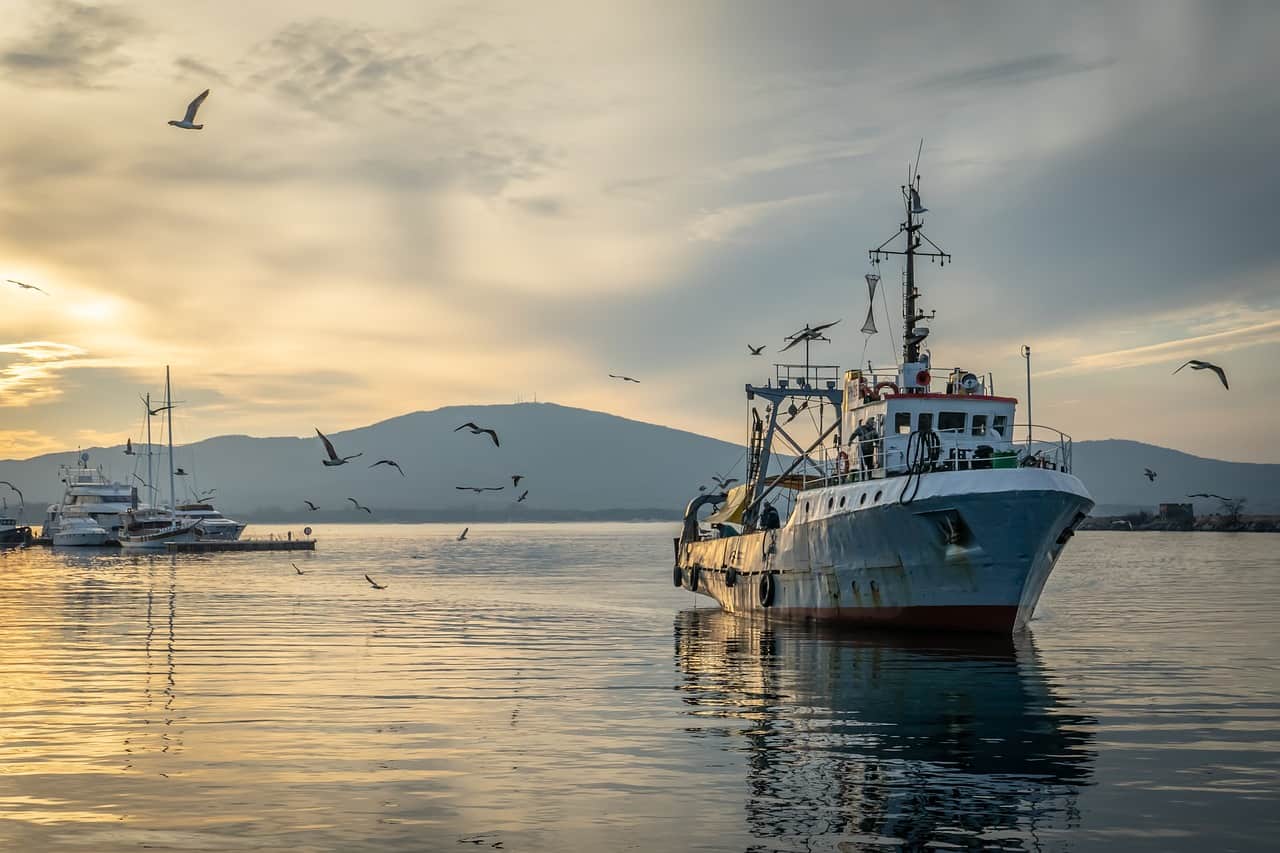 How blockchain technology can make fishing more sustainable
