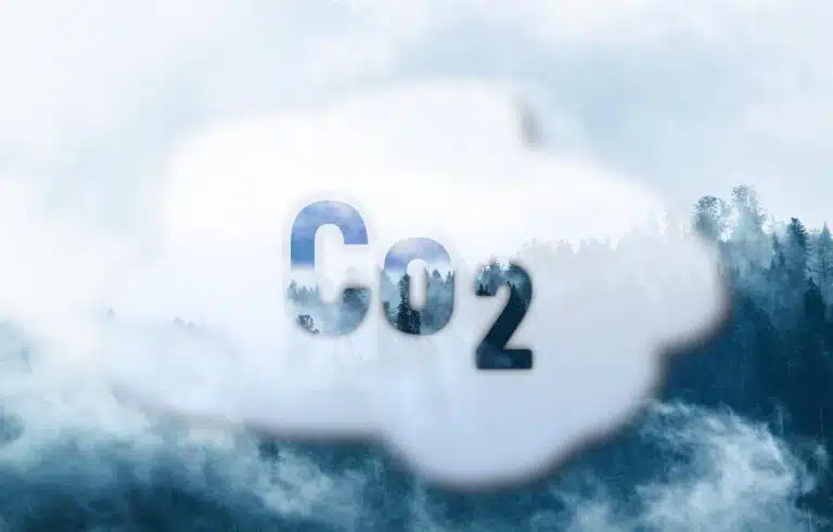 Are carbon removal methods the key to tackling climate change?