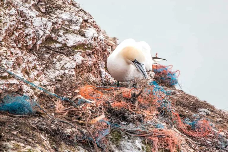 We can drastically cut plastic pollution, the UN says