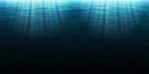 Long-banned pollutants have made their way to the deepest part of the ocean