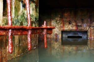 Using robots to flush out dengue-carrying mosquitoes from sewers