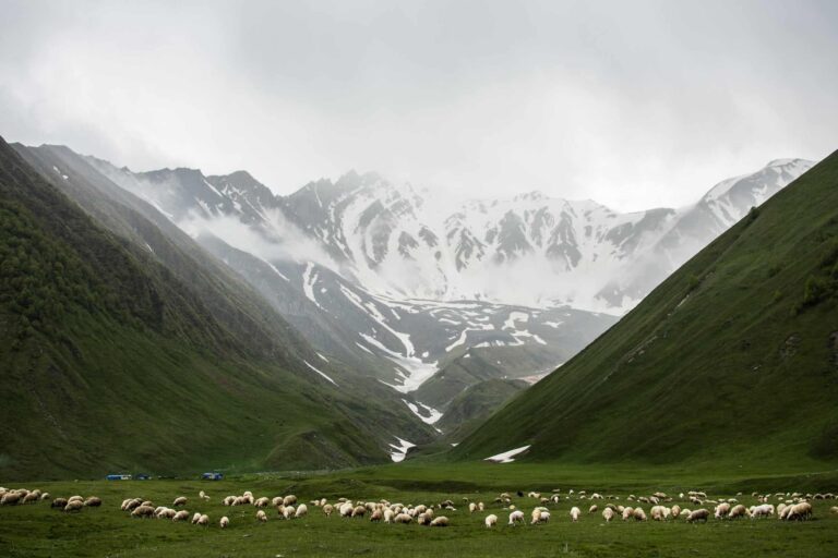 Trees, rivers and mountains are gaining legal status, but more is needed to protect nature