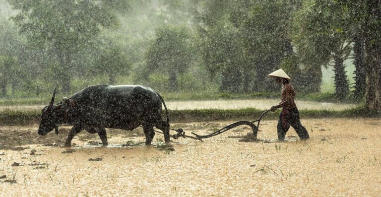 The Green Revolution is a warning, not a blueprint for feeding a hungry planet
