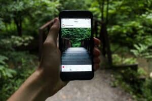 Nature photographs posted on social media can aid in conservation efforts