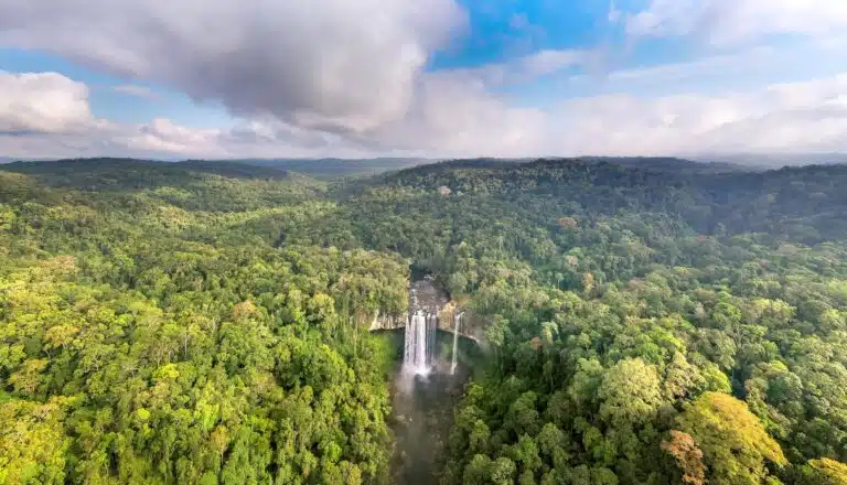 Many Southeast Asian forests could weather climate change if we leave them be