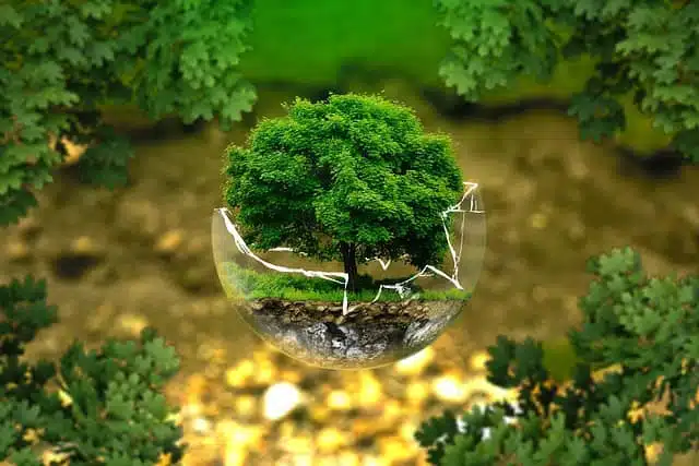 Sustainability Reports: Key to Transparent and Responsible Management