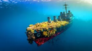A colossal artificial reef emerges from the legendary USS ship – An underwater marvel set to transform marine life forever