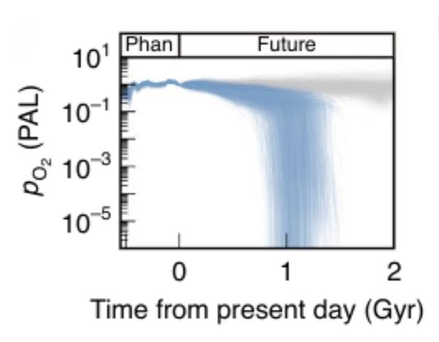 One day, a severe decline in oxygen levels will threaten the survival of most life on Earth.