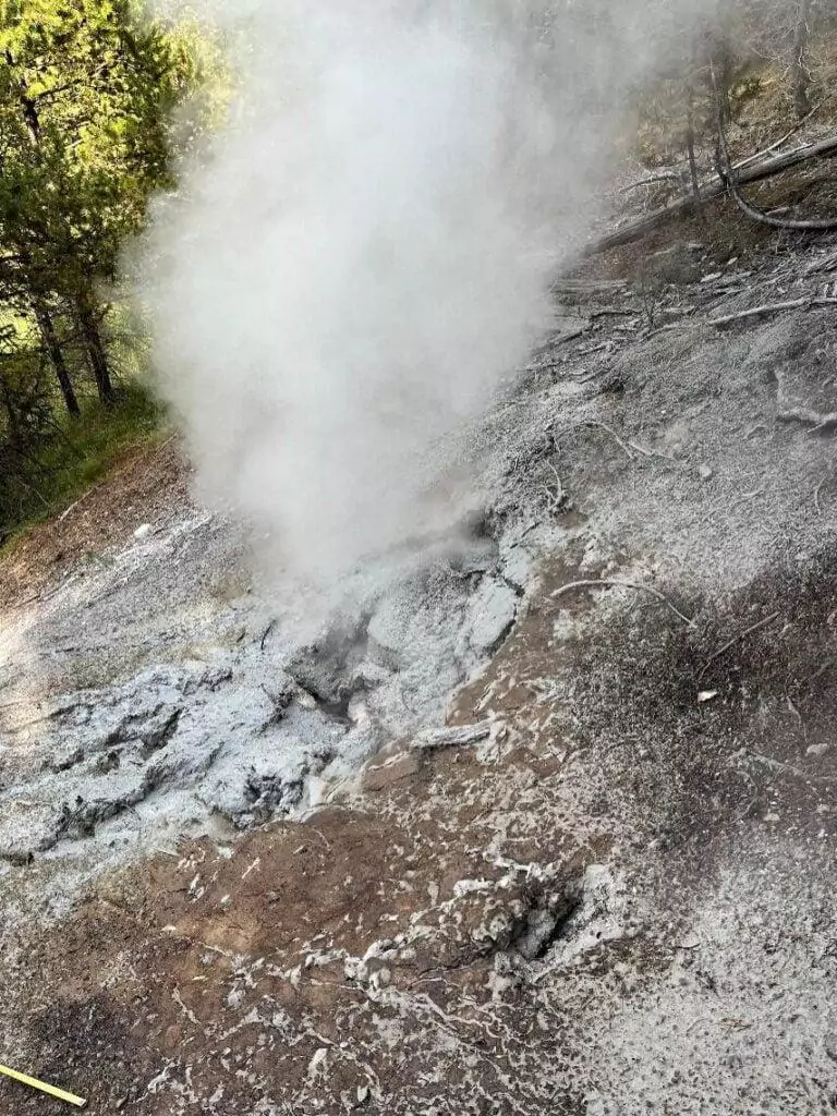 A view toward the southeast of a hydrothermal feature that emerged in August 2024, just north of Nymph Lake in Yellowstone. Steam rises from a vent that is partially filled with water, creating a frying pan-like appearance within the newly formed opening. A thin layer of gray siliceous mud covers the vent area.