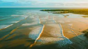 "Unprecedented surge": NASA confirms shocking sea level spike during Earth's hottest year, sparking global concern