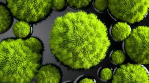 China's Astonishing Breakthrough: Revolutionary Moss-Based Sponge Soaks Up Oil Spills with 90% Reuse, Shocking the World