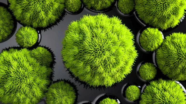 China's Astonishing Breakthrough: Revolutionary Moss-Based Sponge Soaks Up Oil Spills with 90% Reuse, Shocking the World