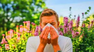 « Your Allergies Are About to Explode »: this relentless climate change makes every sneeze feel like an epic battle in your body