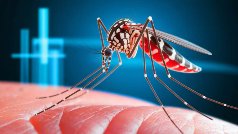 « Your Blood as the Ultimate Weapon »: This groundbreaking research aims to make mosquitoes' worst nightmare a reality with killer blood