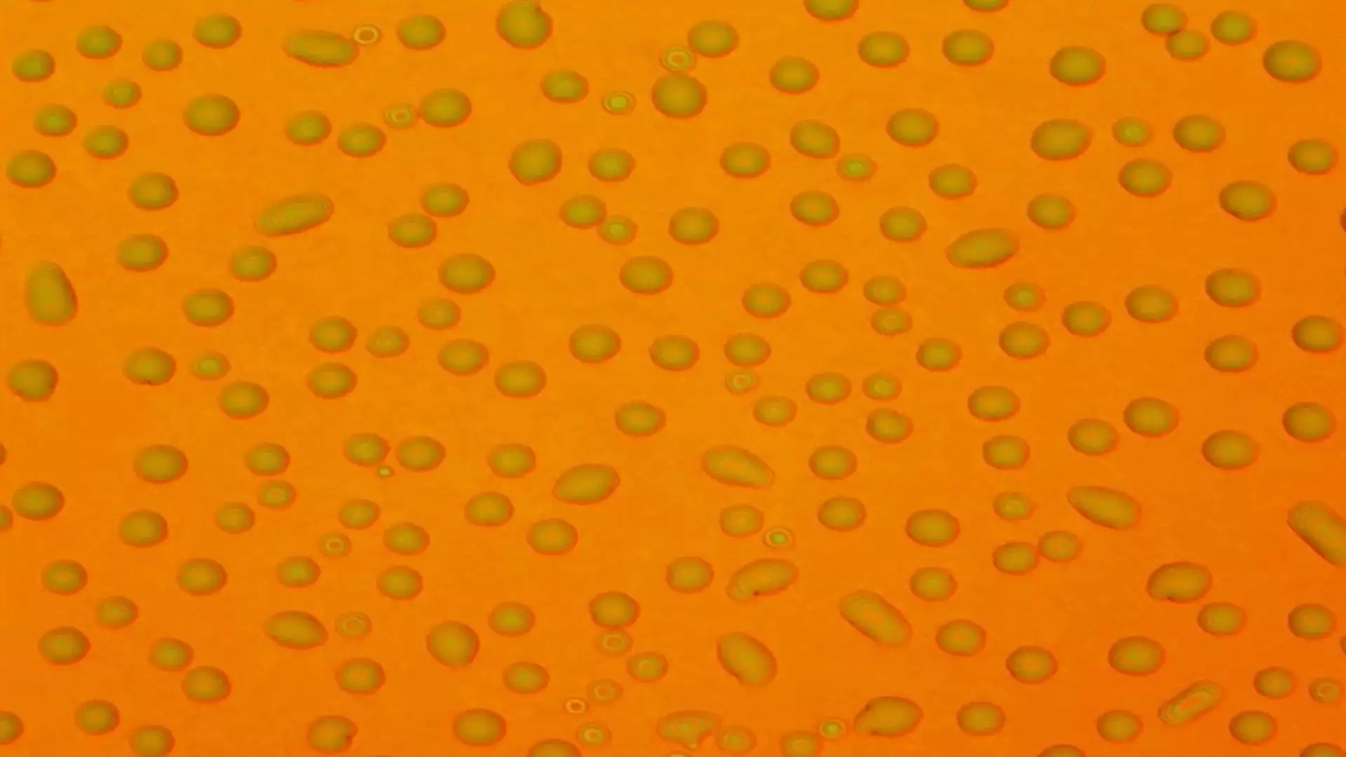 Electron microscope images reveal nanopores at work as they generate water droplets and replenish them using the material's own stored water.