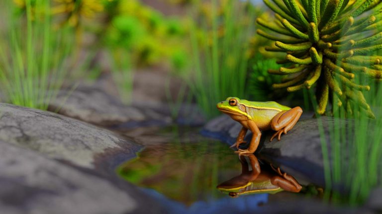 Illustration of the rediscovery of the rare Alsodes vittatus frog in the Chilean Andes (AI-generated, unrealistic). Credit: Ideogram.