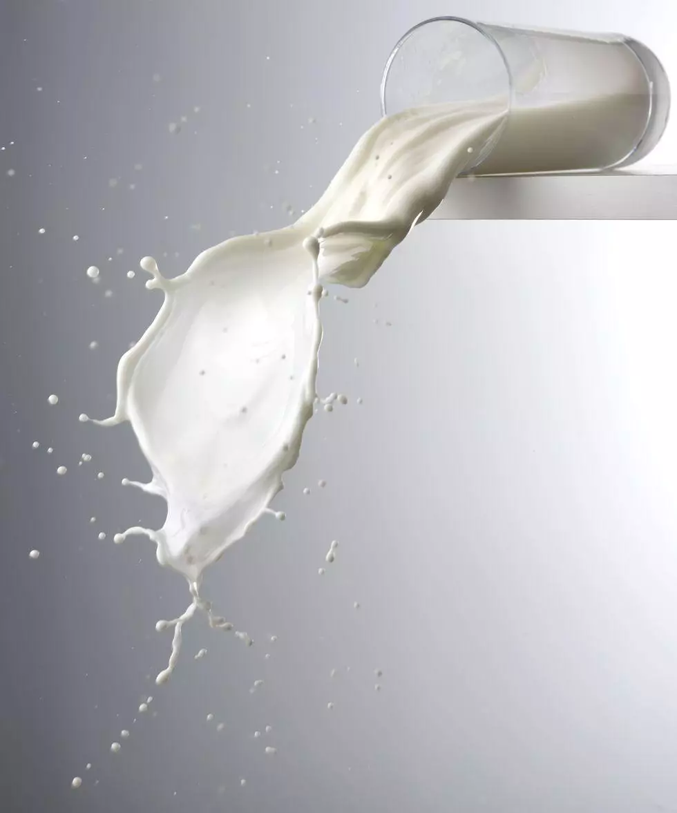 Milk that has been spilled