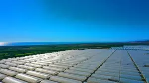 Illustration of the "Sea of Plastic" greenhouses in Almería, Spain, as seen from space. Image generated by AI.