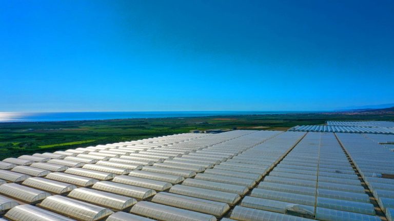 Illustration of the "Sea of Plastic" greenhouses in Almería, Spain, as seen from space. Image generated by AI.