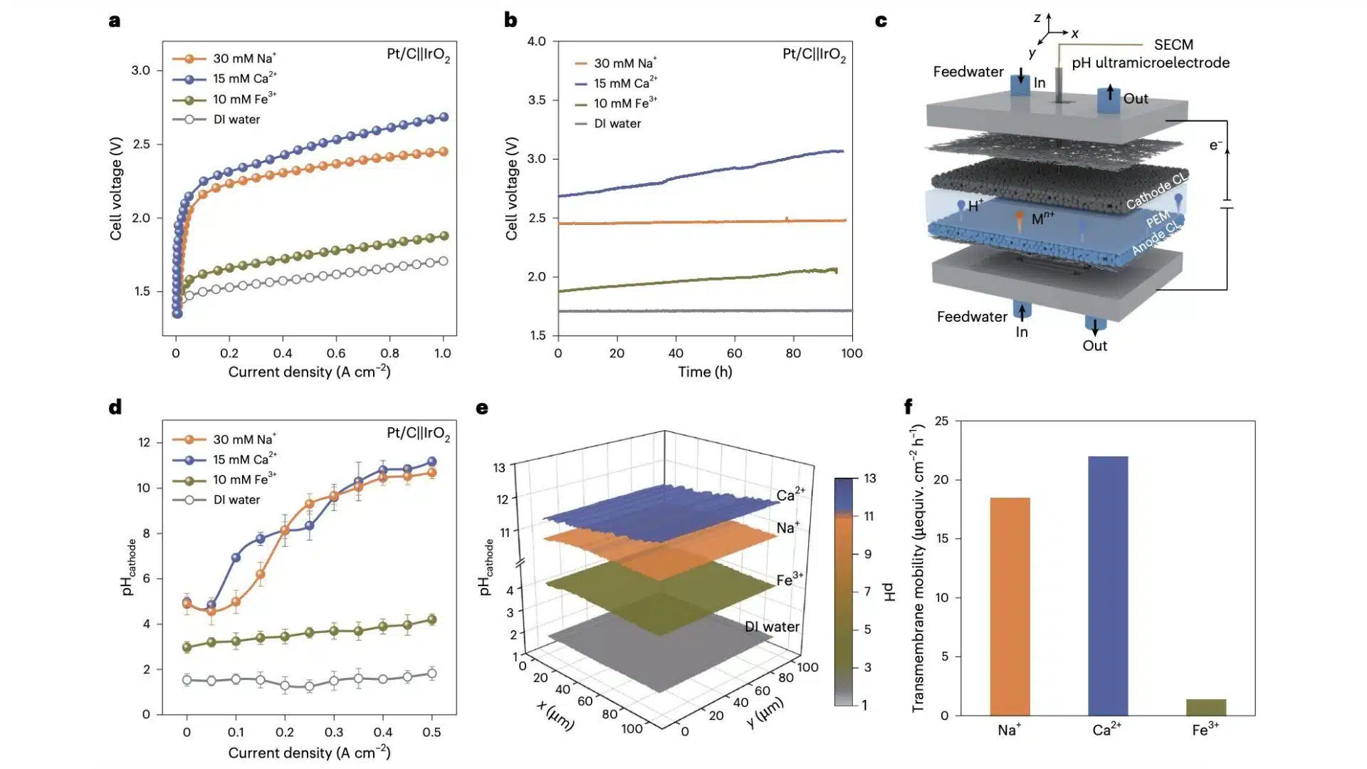 The impact of cationic contaminants on the efficiency of PEM electrolyzers