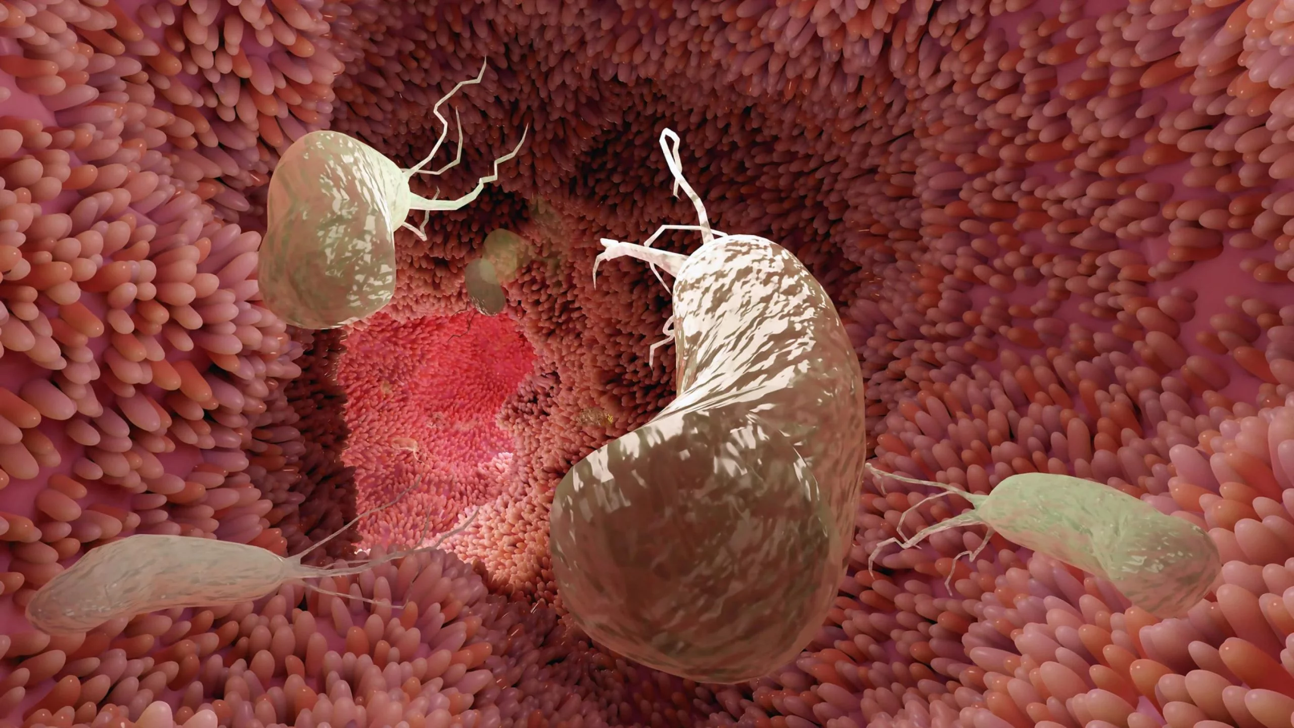 It is anticipated that millions of young people today will develop stomach cancer